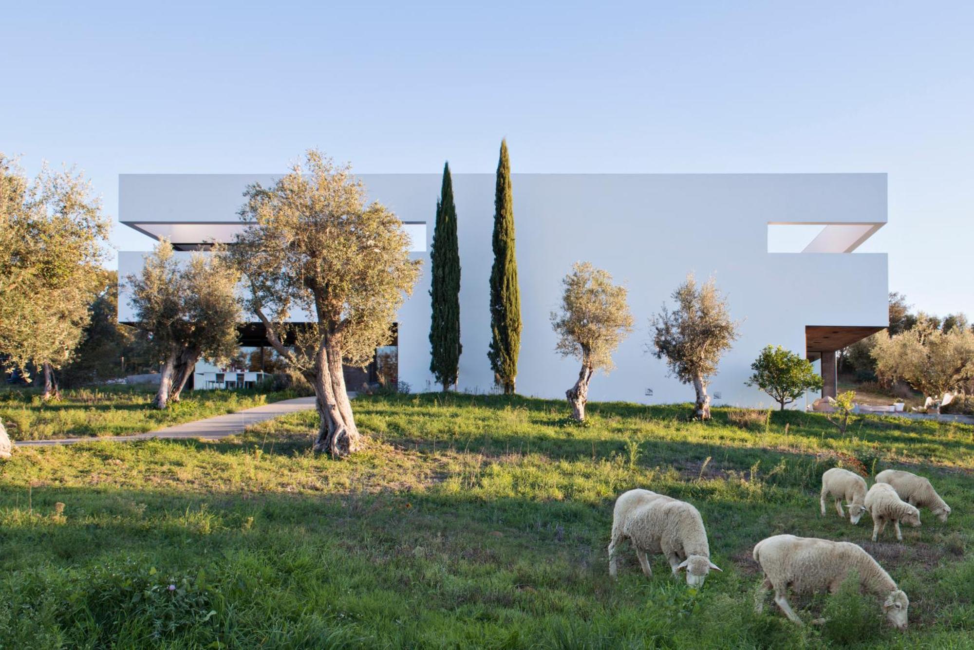 Villa Extramuros Arraiolos Buitenkant foto